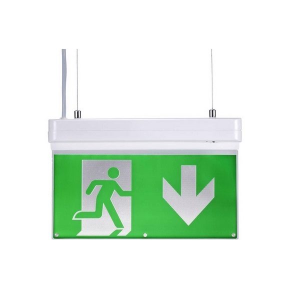 Signal sortie de secours 230V